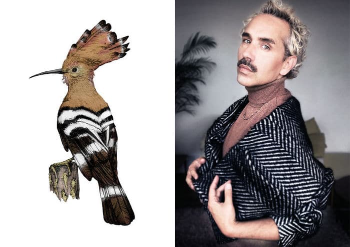 Eu crio estes looks de moda e maquiagem inspirados nos pássaros que desenho 16