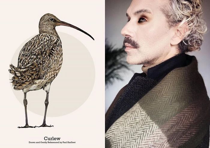 Eu crio estes looks de moda e maquiagem inspirados nos pássaros que desenho 17