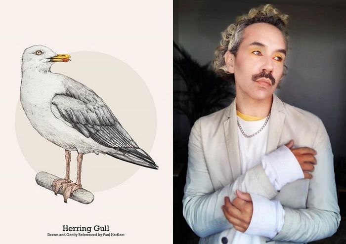 Eu crio estes looks de moda e maquiagem inspirados nos pássaros que desenho 22