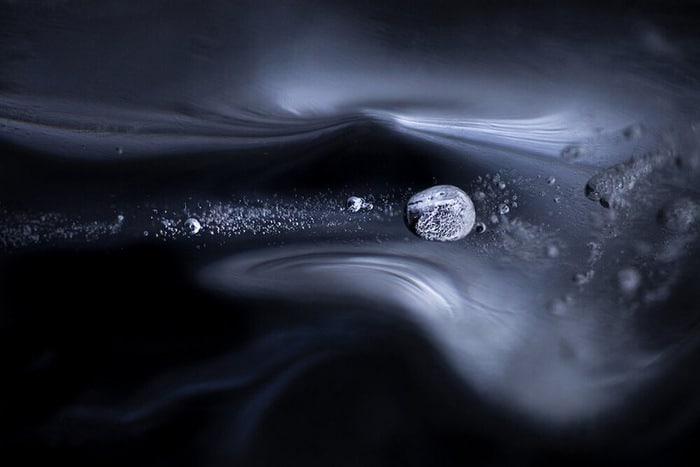 30 vencedores do concurso de fotografia close-up do ano de 2020 1