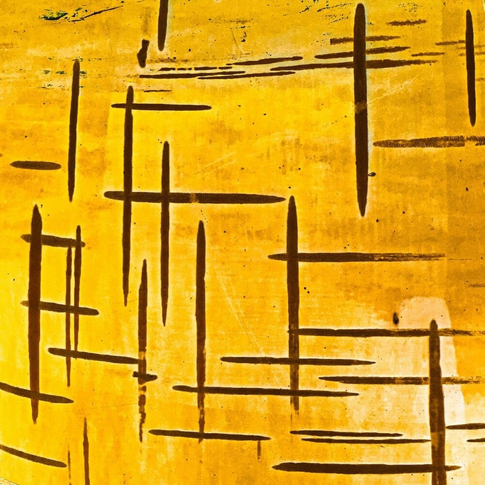 30 vencedores do concurso de fotografia close-up do ano de 2020 3