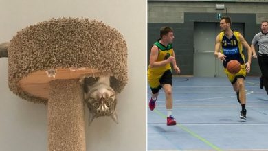 25 vezes que a gravidade faz bugar o nosso cérebro 8