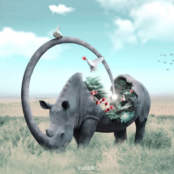 Aqui está o que eu imagino que os animais fazem quando não estamos olhando 3