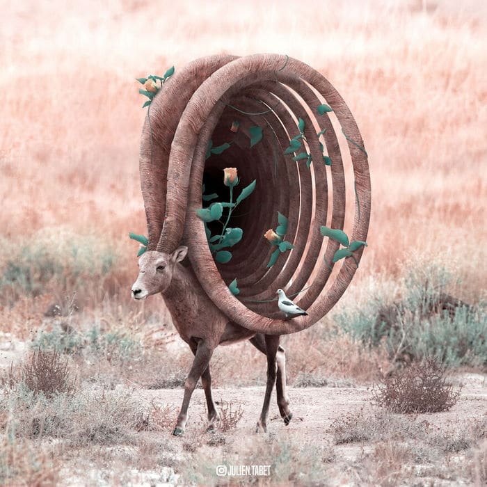 Aqui está o que eu imagino que os animais fazem quando não estamos olhando 5