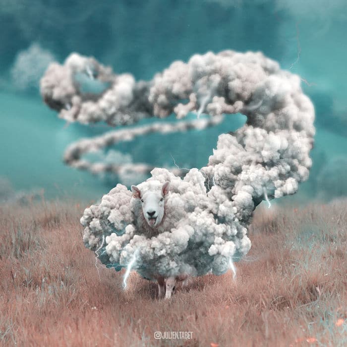 Aqui está o que eu imagino que os animais fazem quando não estamos olhando 6