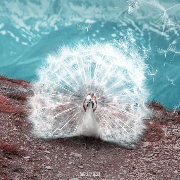 Aqui está o que eu imagino que os animais fazem quando não estamos olhando 7