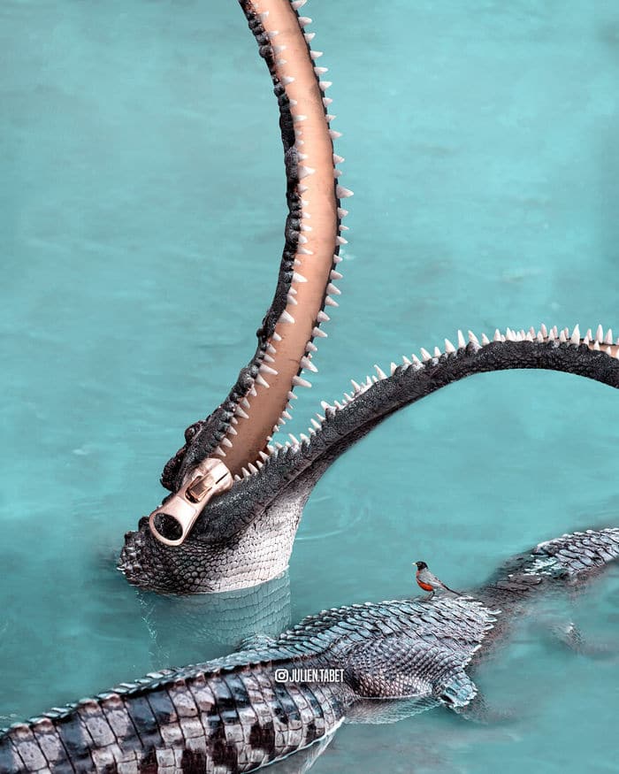 Aqui está o que eu imagino que os animais fazem quando não estamos olhando 11