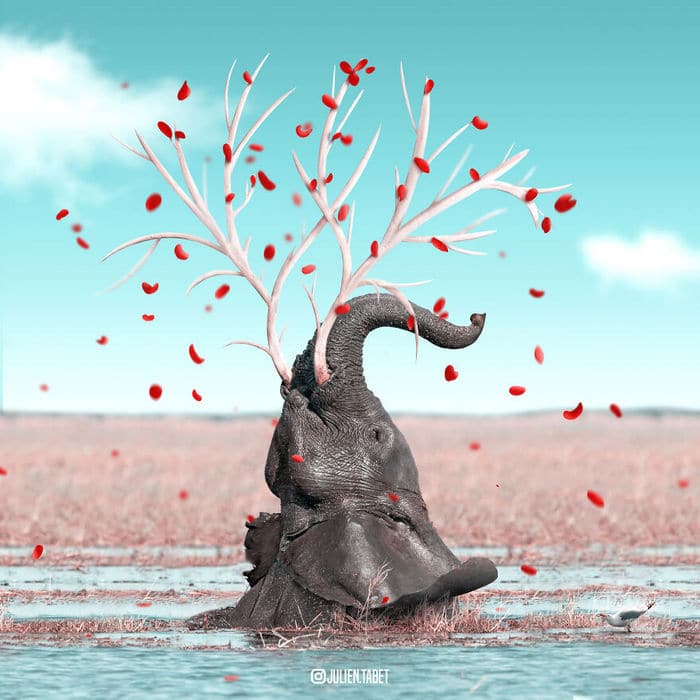 Aqui está o que eu imagino que os animais fazem quando não estamos olhando 12