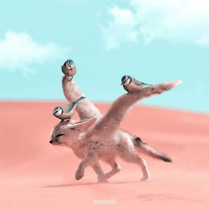 Aqui está o que eu imagino que os animais fazem quando não estamos olhando 14