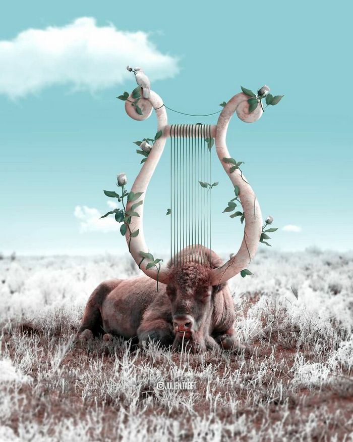 Aqui está o que eu imagino que os animais fazem quando não estamos olhando 18