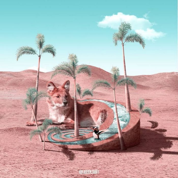 Aqui está o que eu imagino que os animais fazem quando não estamos olhando 21