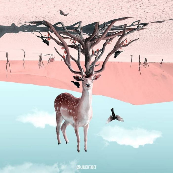 Aqui está o que eu imagino que os animais fazem quando não estamos olhando 24