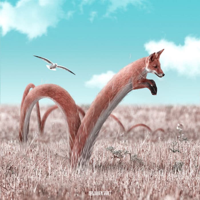 Aqui está o que eu imagino que os animais fazem quando não estamos olhando 27