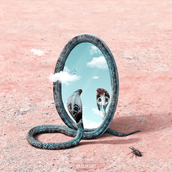 Aqui está o que eu imagino que os animais fazem quando não estamos olhando 28