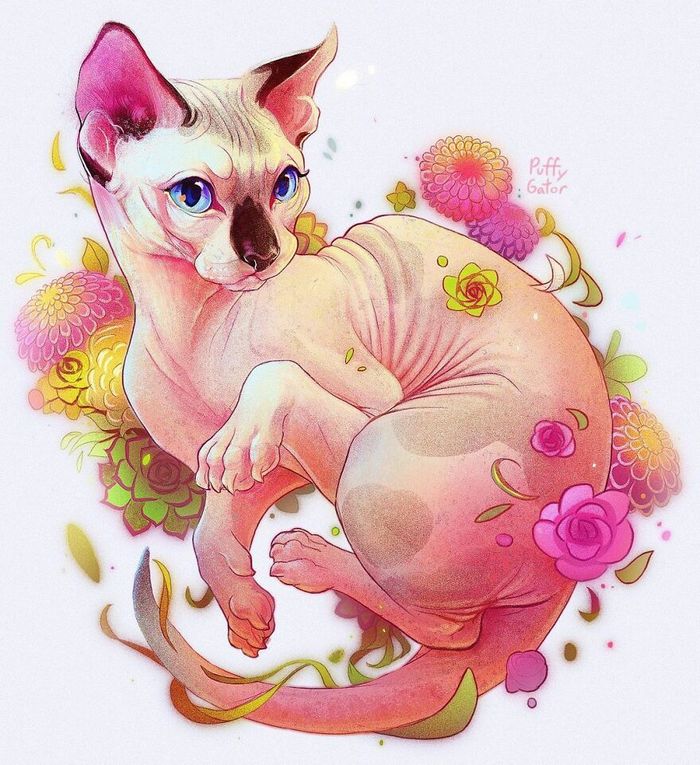 Artista cria ilustrações fofas de animais selvagens e animais de estimação 11