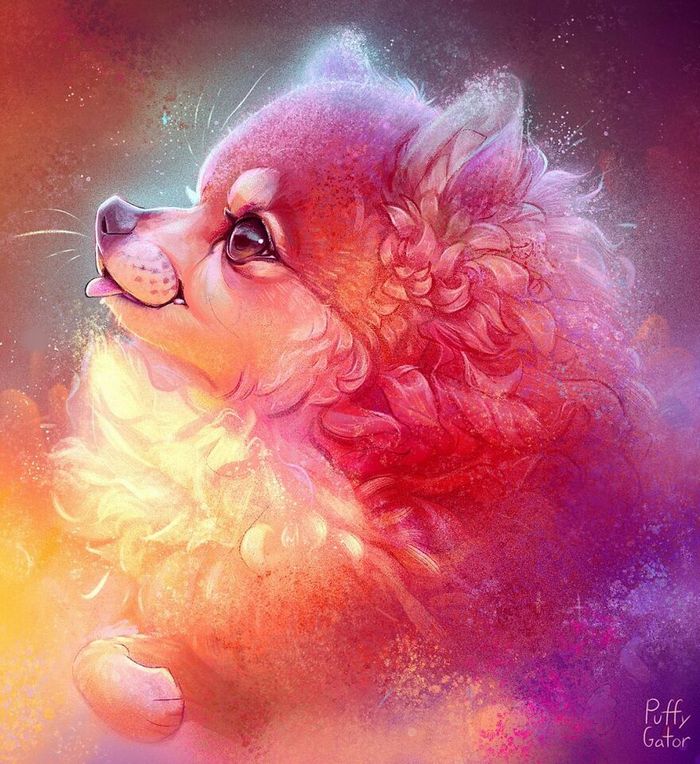 Artista cria ilustrações fofas de animais selvagens e animais de estimação 16