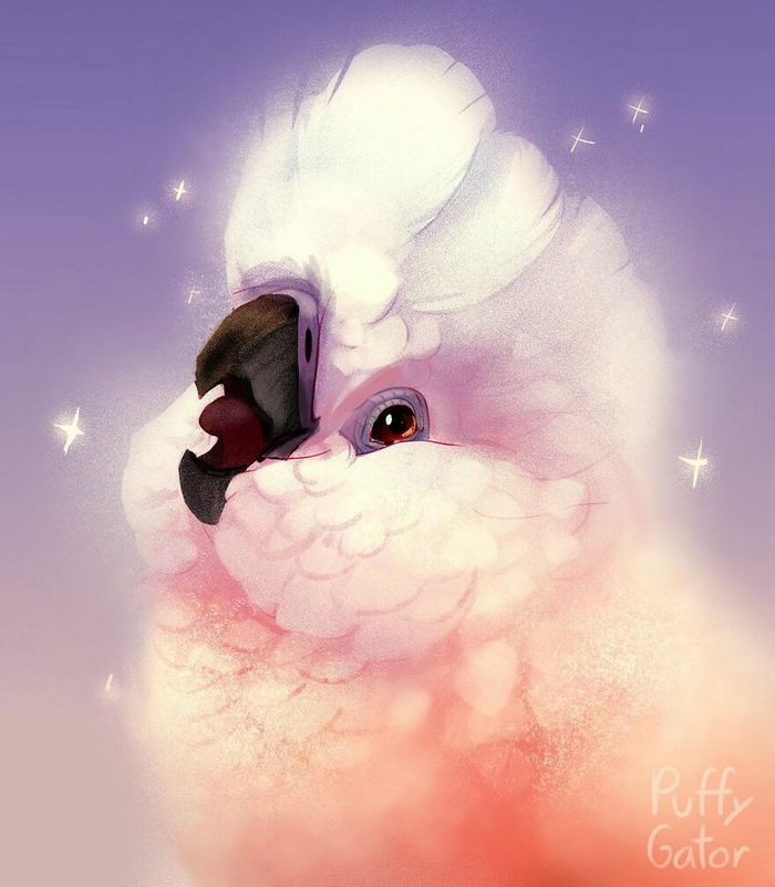 Artista cria ilustrações fofas de animais selvagens e animais de estimação 25