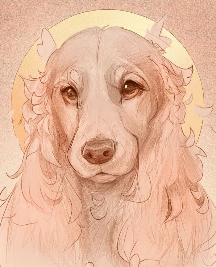 Artista cria ilustrações fofas de animais selvagens e animais de estimação 28