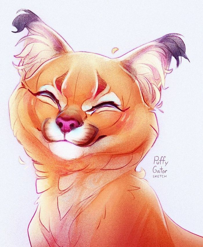 Artista cria ilustrações fofas de animais selvagens e animais de estimação 42