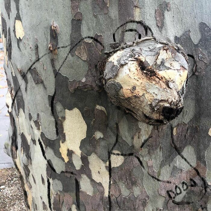 Artista francês espalha humor em espaços urbanos por meio de sua arte 7