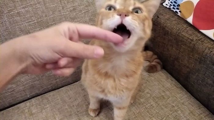 18 coisas ridículas que todos nós fizemos na infância e alguns fazemos até hoje 4