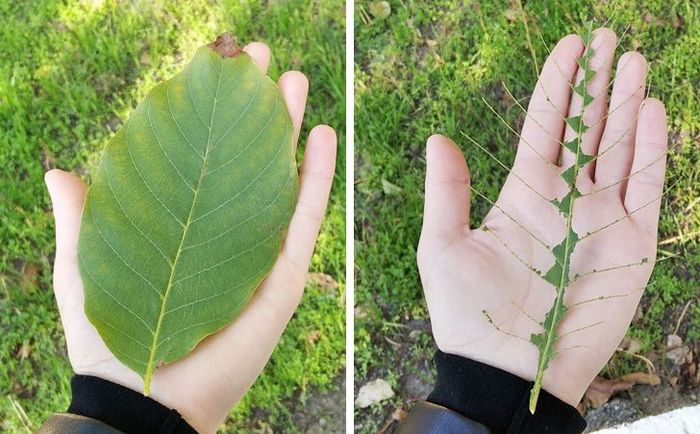 18 coisas ridículas que todos nós fizemos na infância e alguns fazemos até hoje 17