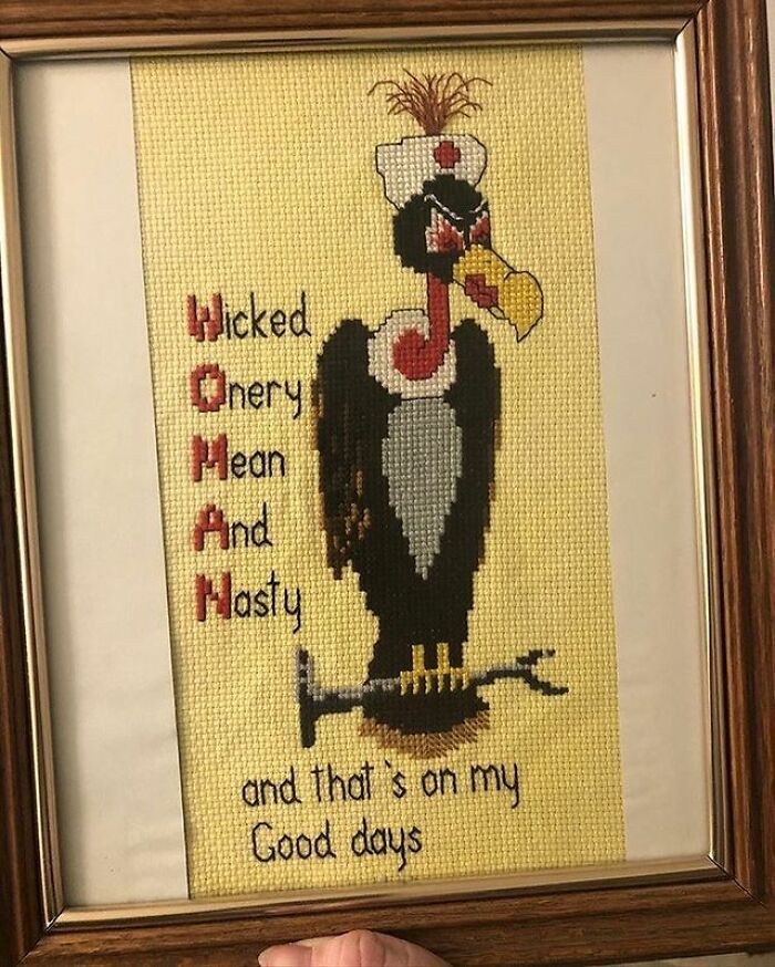 35 das descobertas mais bizarras de brechós postadas nesta conta do Instagram de arte de brechó 27