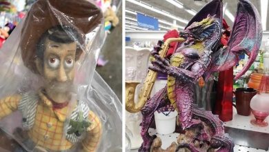 35 das descobertas mais bizarras de brechós postadas nesta conta do Instagram de arte de brechó 36