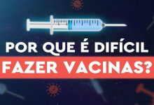 Por que é difícil fazer vacinas? 8