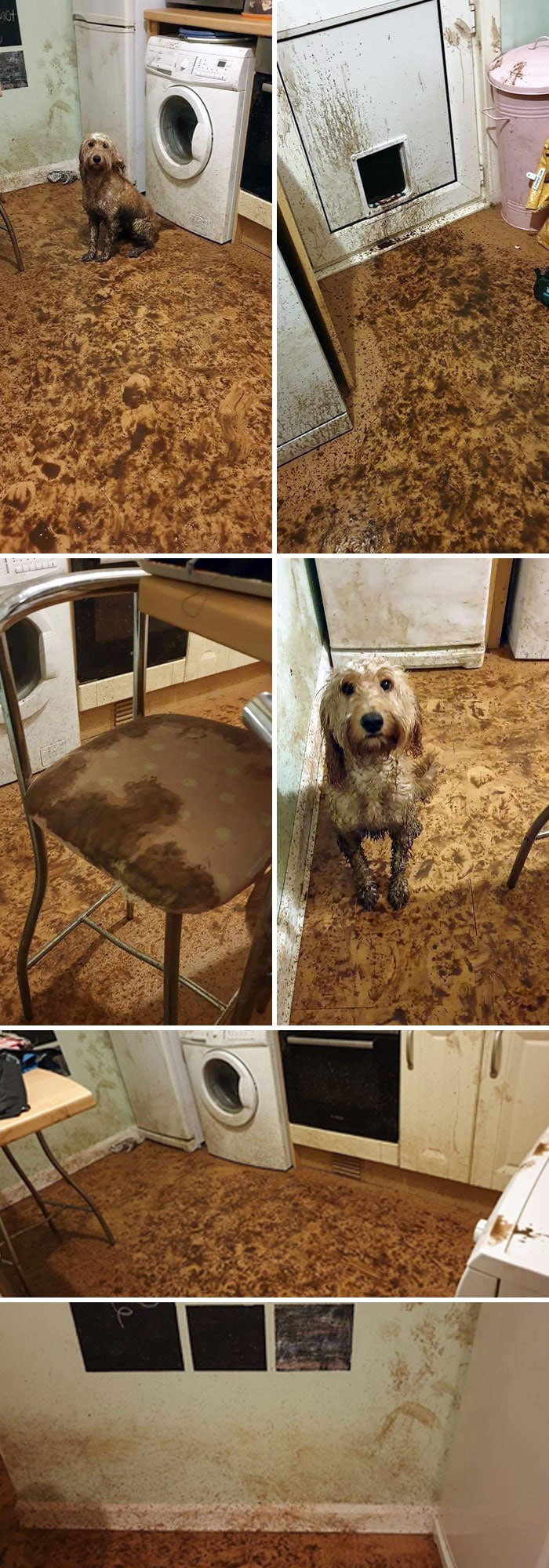 30 fotos de pessoas tendo um dia pior que o seu 8