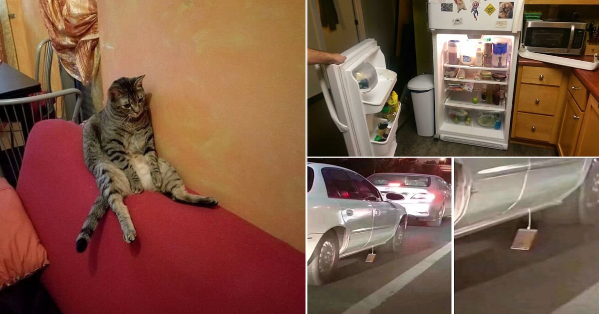30 fotos de pessoas tendo um dia pior que o seu