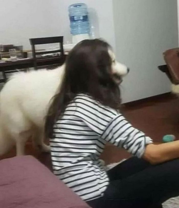 21 fotos em que é preciso olhar mais de uma vez para ter certeza do que estamos vendo 3