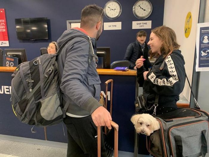 21 fotos em que é preciso olhar mais de uma vez para ter certeza do que estamos vendo 8