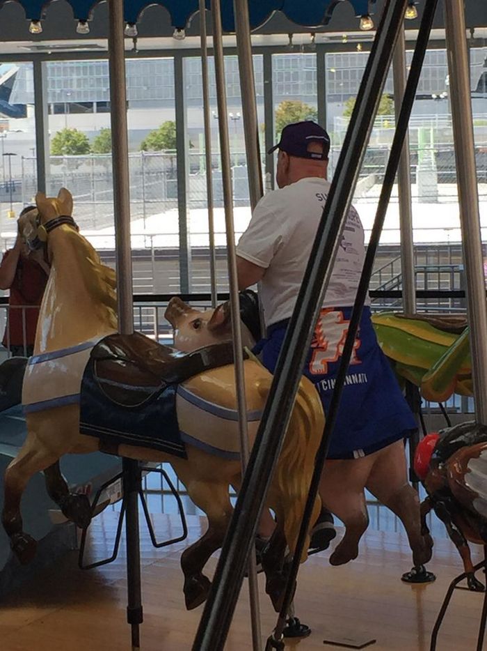 21 fotos em que é preciso olhar mais de uma vez para ter certeza do que estamos vendo 14