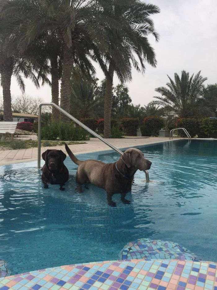 21 fotos em que é preciso olhar mais de uma vez para ter certeza do que estamos vendo 20