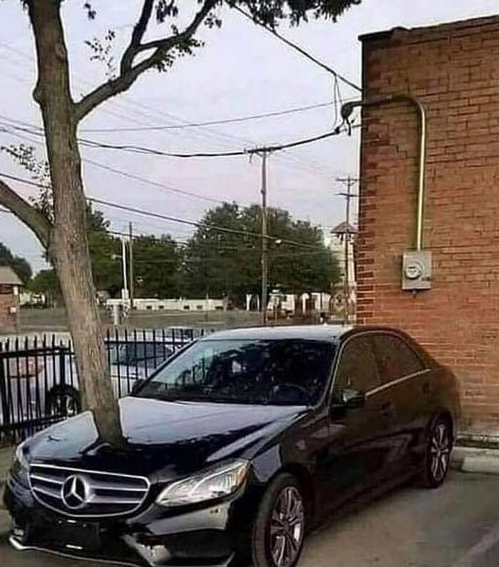 21 fotos em que é preciso olhar mais de uma vez para ter certeza do que estamos vendo 21