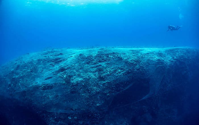 34 fotos incríveis do Ocean Photography Awards 2020 15