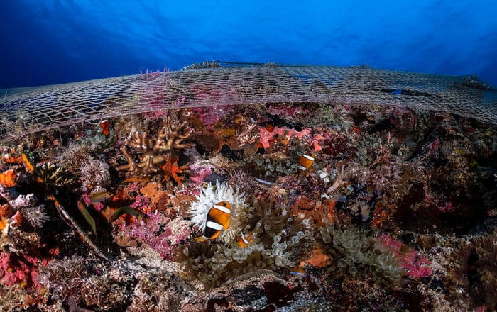 34 fotos incríveis do Ocean Photography Awards 2020 18