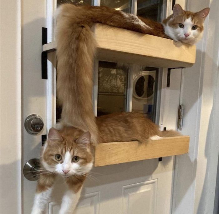 19 ilusões que podem explodir sua mente se você olhar um pouco mais de perto 2