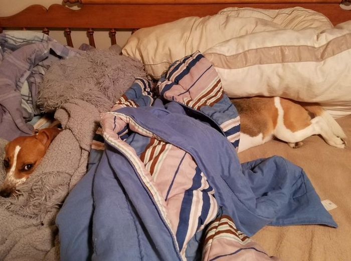 19 ilusões que podem explodir sua mente se você olhar um pouco mais de perto 9