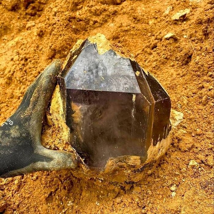 26 imagens raras que mudarão sua visão da vida 6