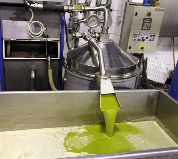 26 imagens raras que mudarão sua visão da vida 10