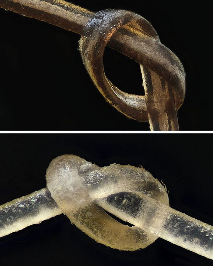 26 imagens raras que mudarão sua visão da vida 21