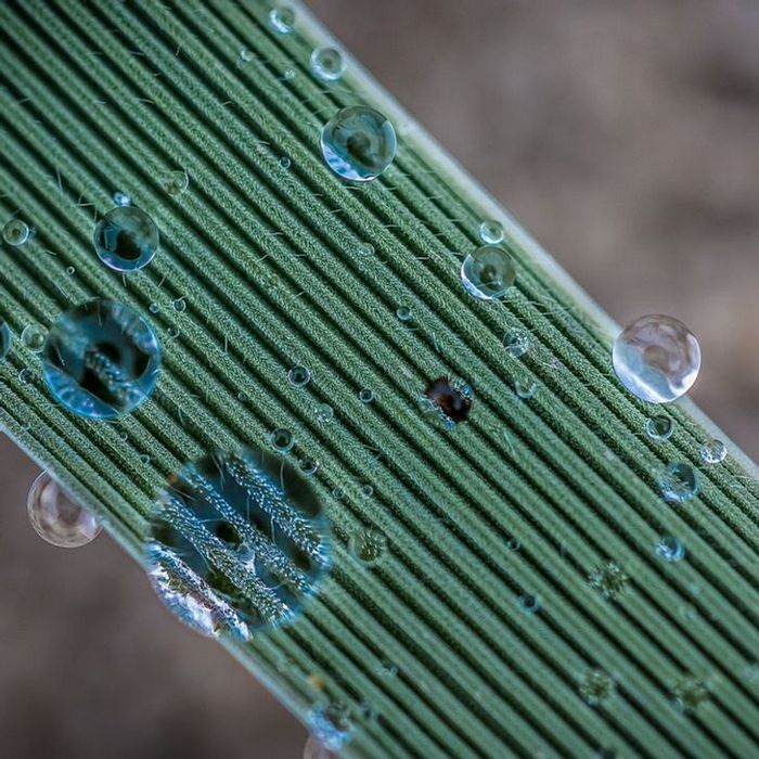 26 imagens raras que mudarão sua visão da vida 23