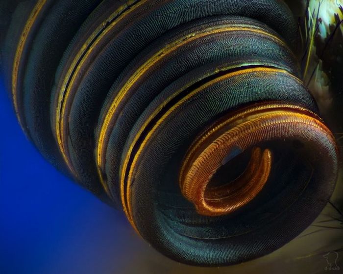 26 imagens raras que mudarão sua visão da vida 26