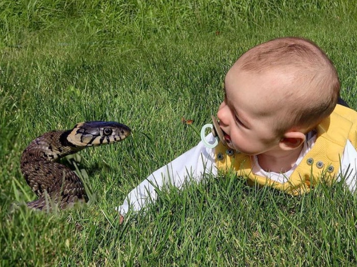 Pai usa Photoshop para por seu filho em situações de perigo para assustar os parentes 3 Pai usa Photoshop para por seu filho em situações de perigo para assustar os parentes 3
