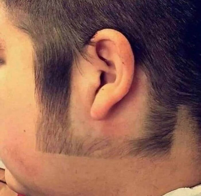 Os 38 penteados e cortes mais bizarros do mundo 7