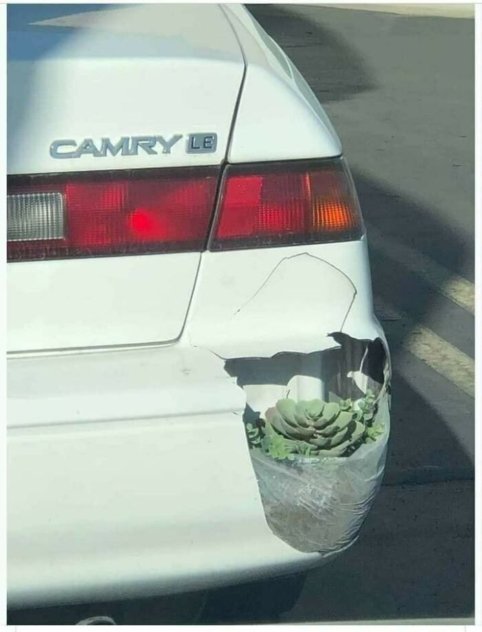 27 projetos do tipo faça você mesmo que provavelmente nunca deveriam ter acontecido 4