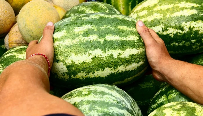 36 coisas doidas que só existem no Japão 18