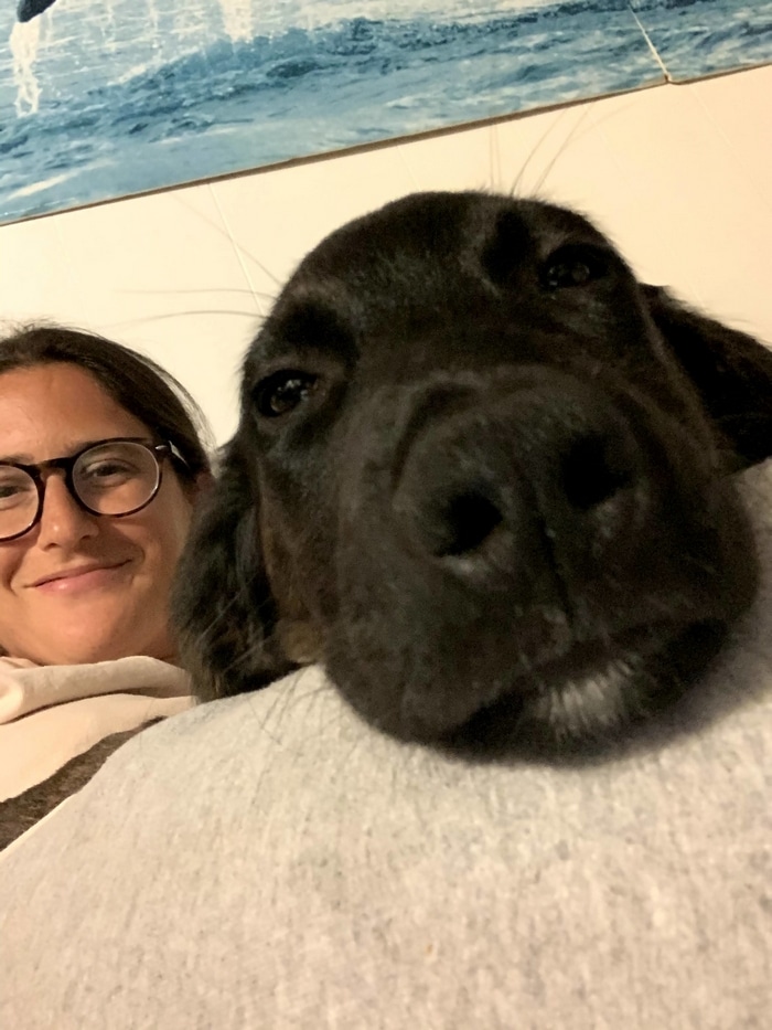 80 coisas que pensei durante o primeiro mês com minha cachorra 2